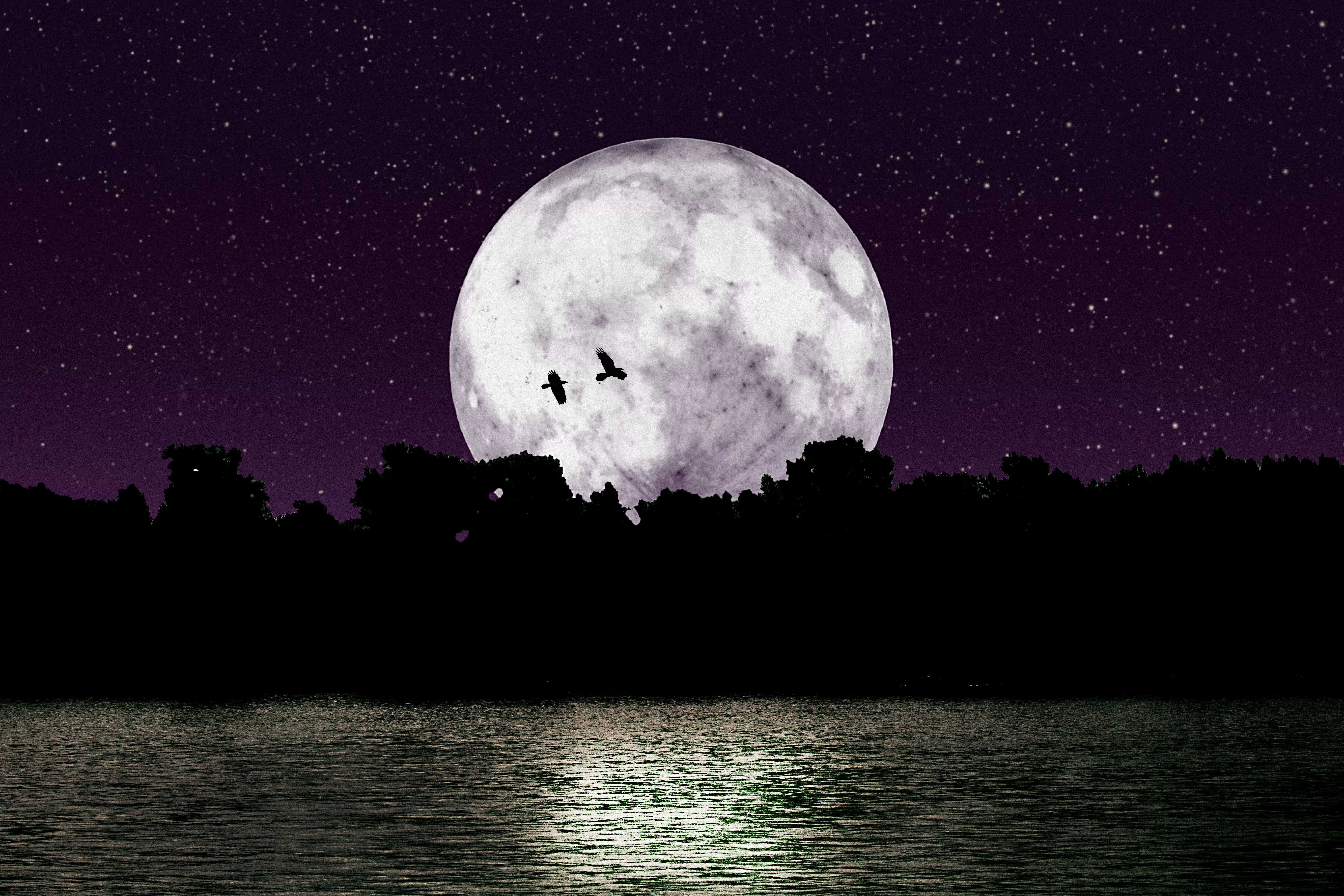 Луна лу читать. Луна. Большая Луна. Красивая Луна. Лунная ночь.